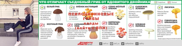 Альфа ПВП Богородицк