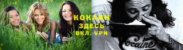 Альфа ПВП Богородицк