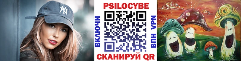 darknet телеграм  Пыть-Ях  Галлюциногенные грибы Psilocybine cubensis 
